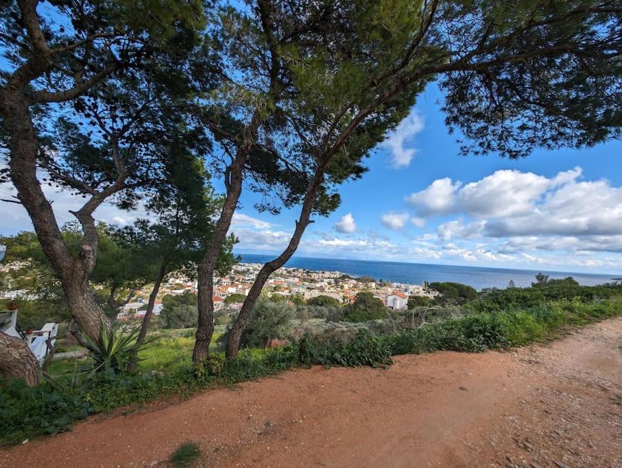 Vasiliki Studio, Beautiful New Built Appartement 10 Km To Airport Artemida  Luaran gambar